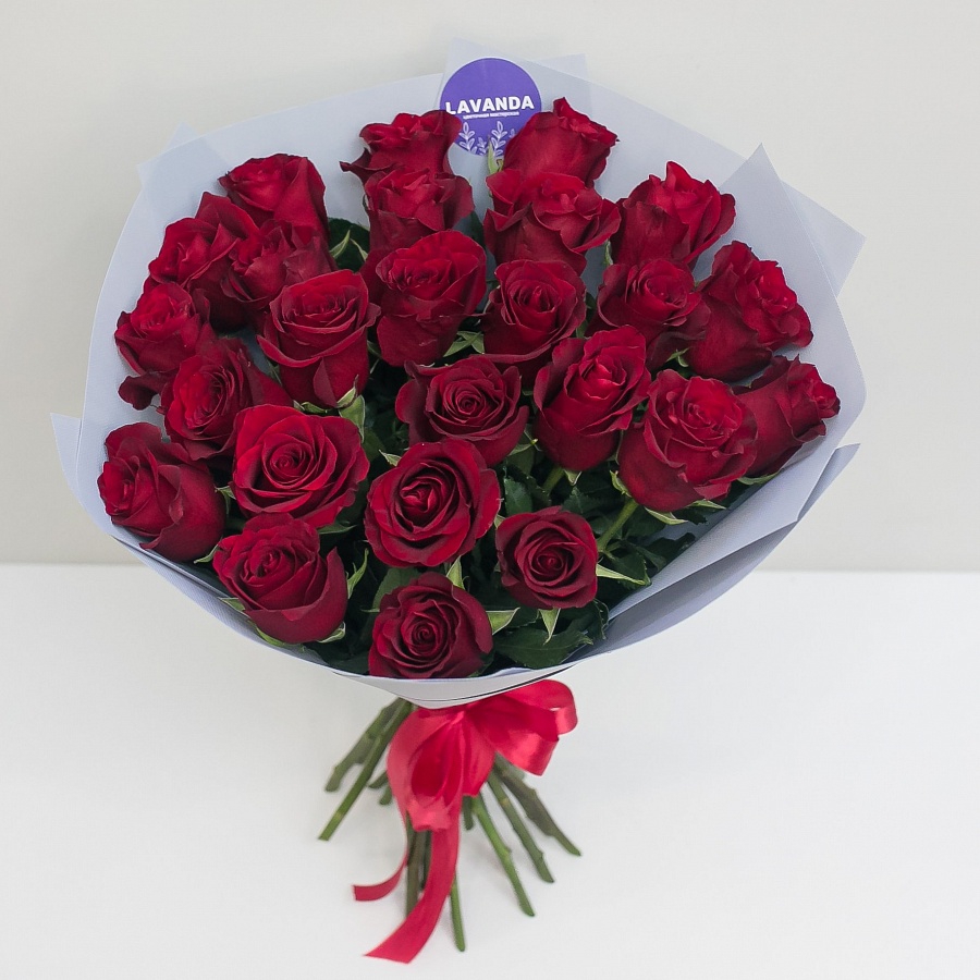 25 красных эквадорских роз 50 см.