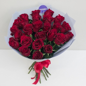 25 красных эквадорских роз 50 см.
