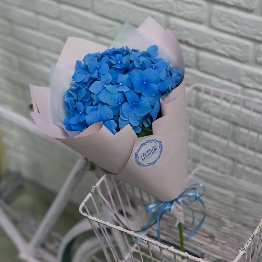 Синяя гортензия в стильной пленке