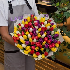 101 Голландский тюльпан в матовой пленке