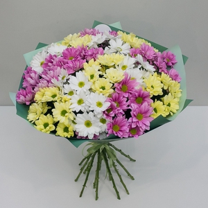 Букет из 15 разноцветных, ромашковых хризантем