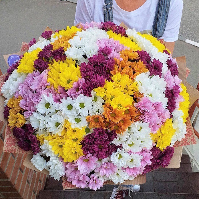 Яркий букет из 51 ромашковой хризантемы