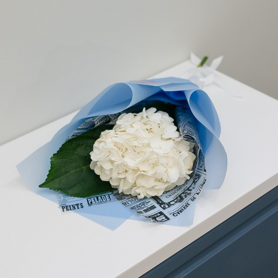 Белая гортензия в стильной пленке