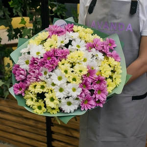 Букет из 15 разноцветных, ромашковых хризантем