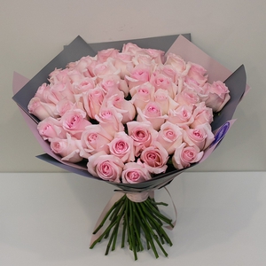 51 нежно-розовая роза в матовой пленке