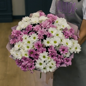 Букет из 13 кустовых хризантем