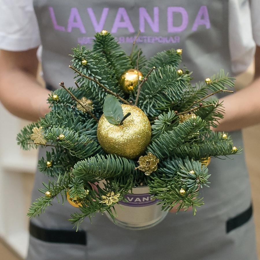 Новогодняя композиция с яблоком