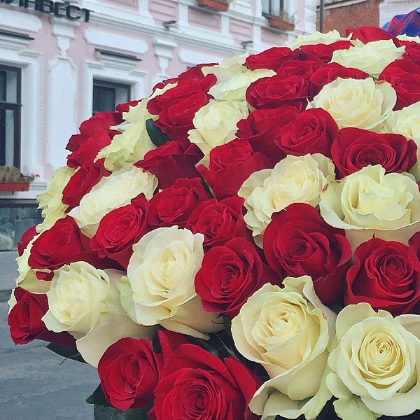 101 эквадорская роза 60 см.