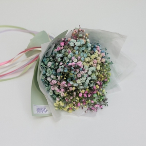 Букетик цветных разноцветных гипсофил