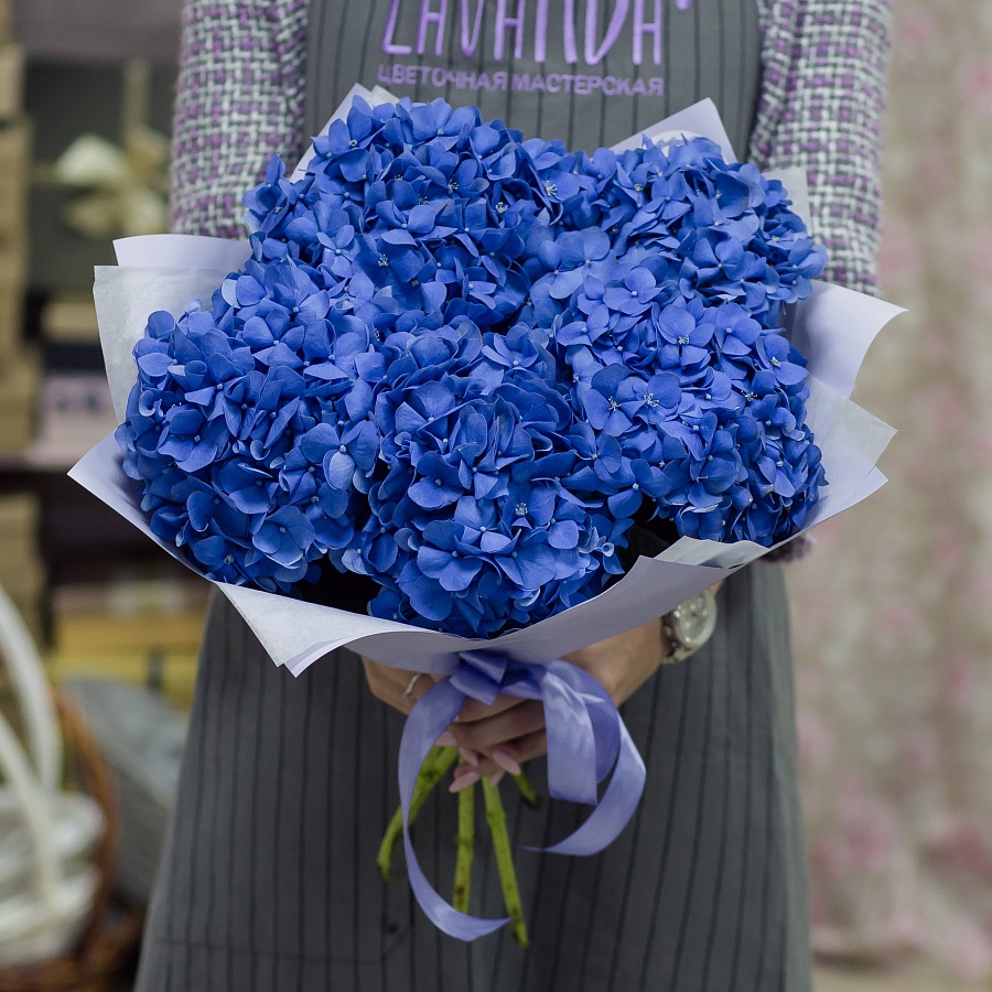 5 синих гортензий в стильной пленке