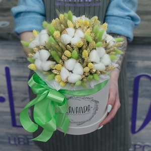 Коробочка зеленых сухоцветов с хлопком