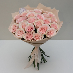 25 розовых Эквадорских роз в матовой пленке