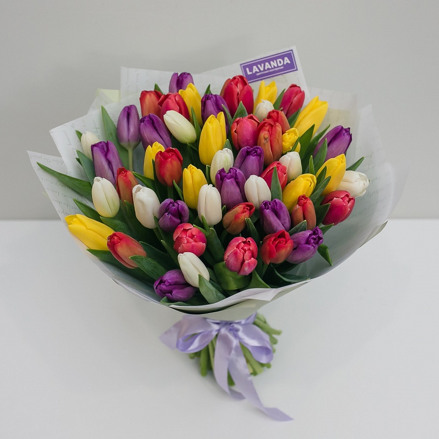 51 Голландский тюльпан в матовой пленке