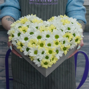 Композиция ромашковых хризантем в ящике