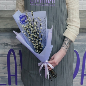 Голландская верба в стильной пленке