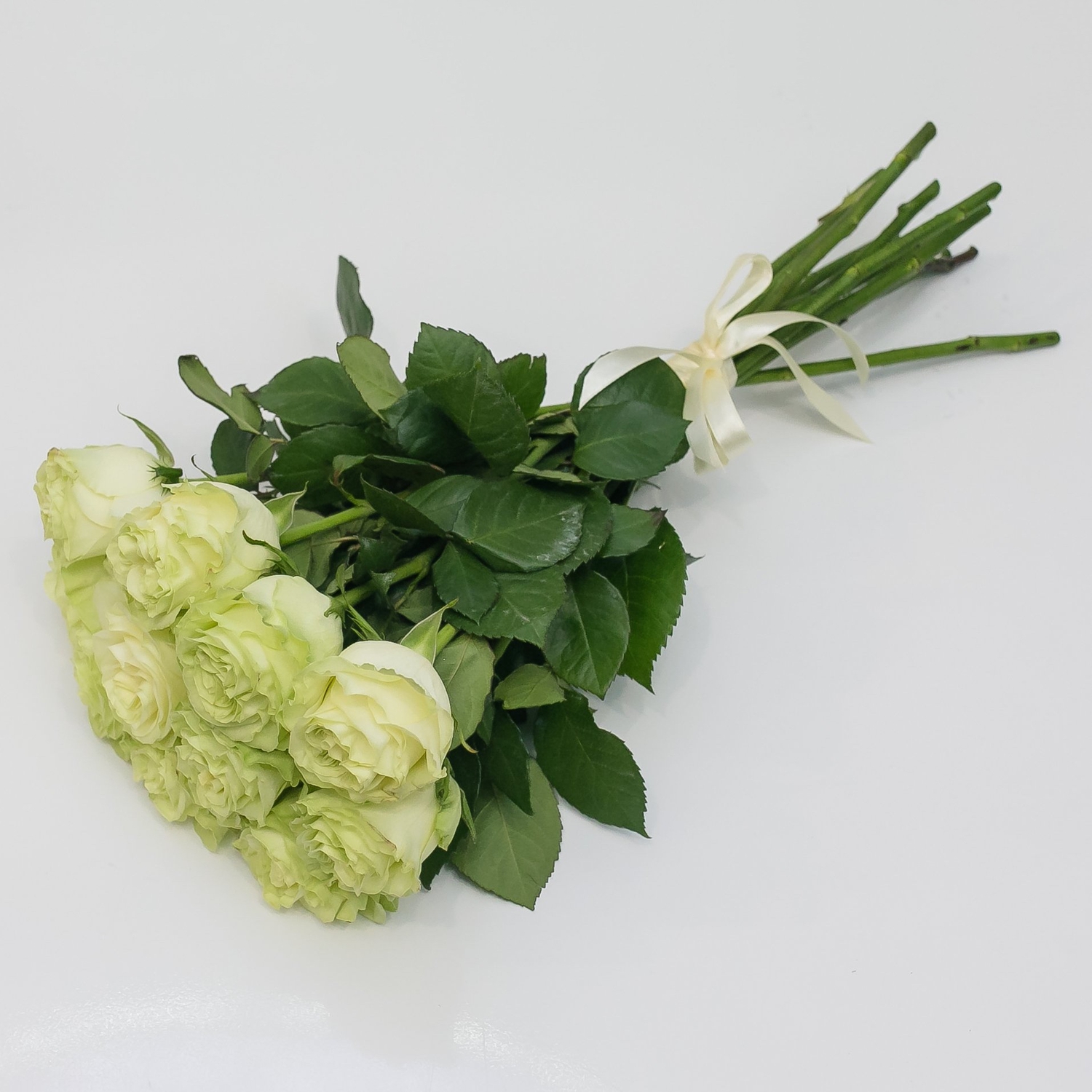 11 белых роз 50 см.