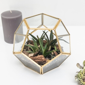 Флорариум "Мячик"