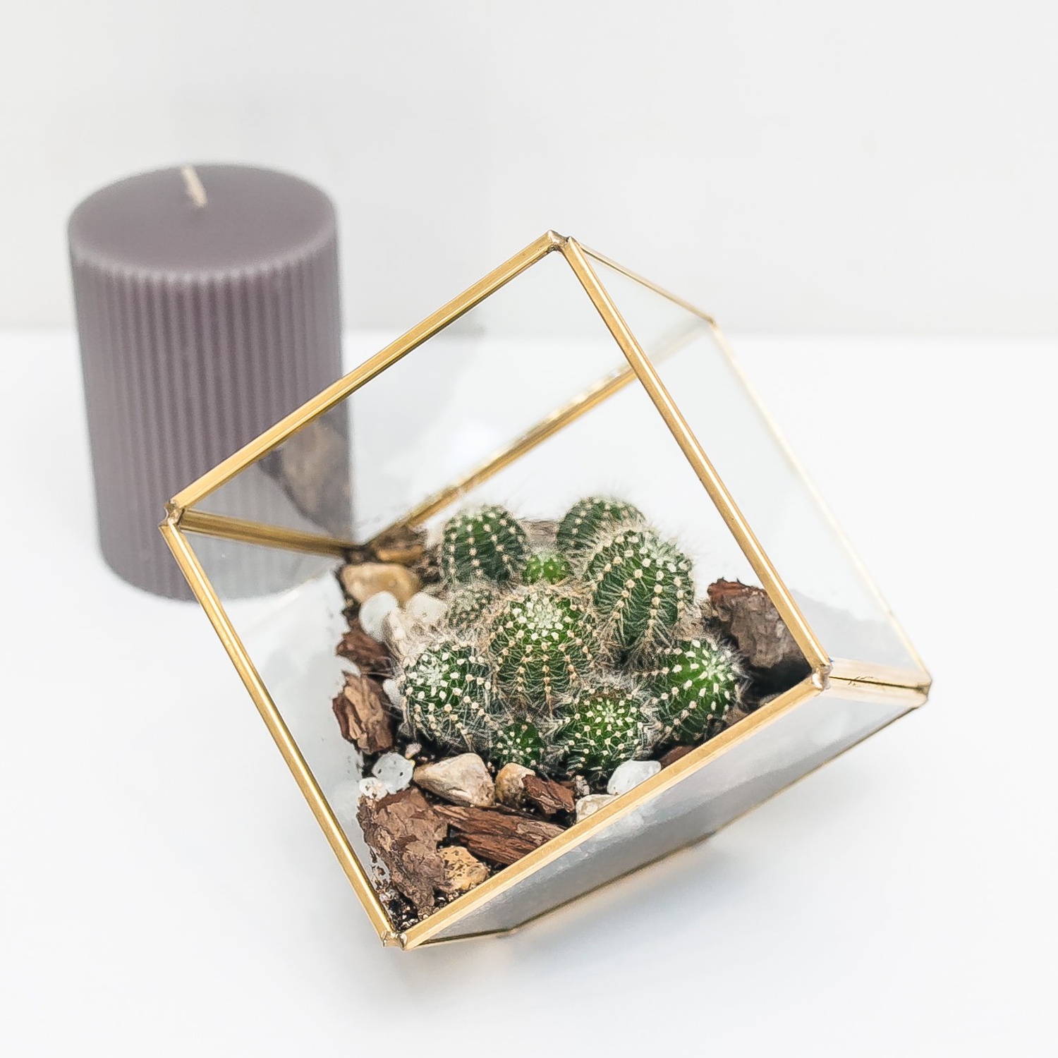 Флорариум "Куб"