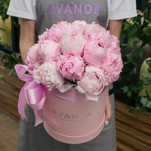 Воздушная коробочка розовых пионов