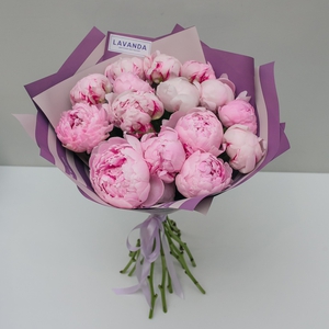 15 пионов в матовой пленке