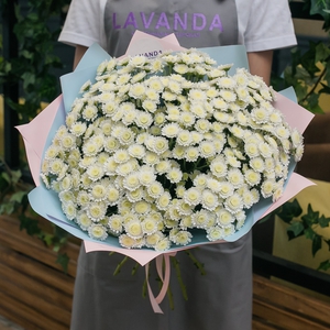 Букет ромашковой хризантемы Сталион