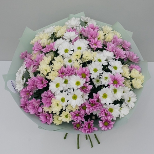 Облако нежных хризантем