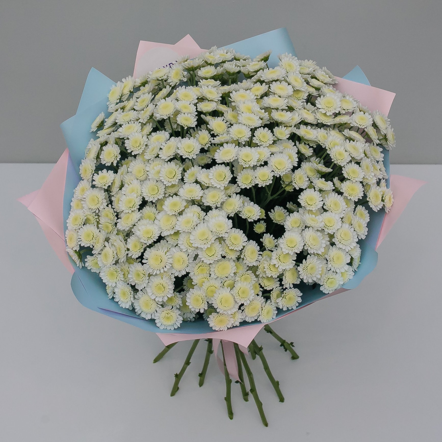 Букет ромашковой хризантемы Сталион