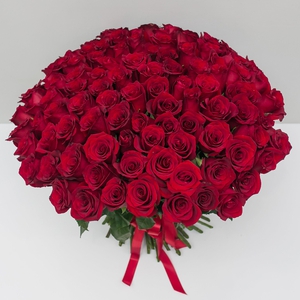 101 красная Эквадорская роза 60 см.