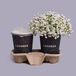 Латте с композиций в стаканчике из белой гипсофилы