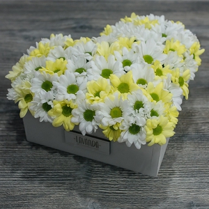 Композиция ромашковых хризантем в ящике