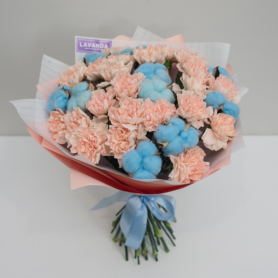 Диантусы с голубым хлопком