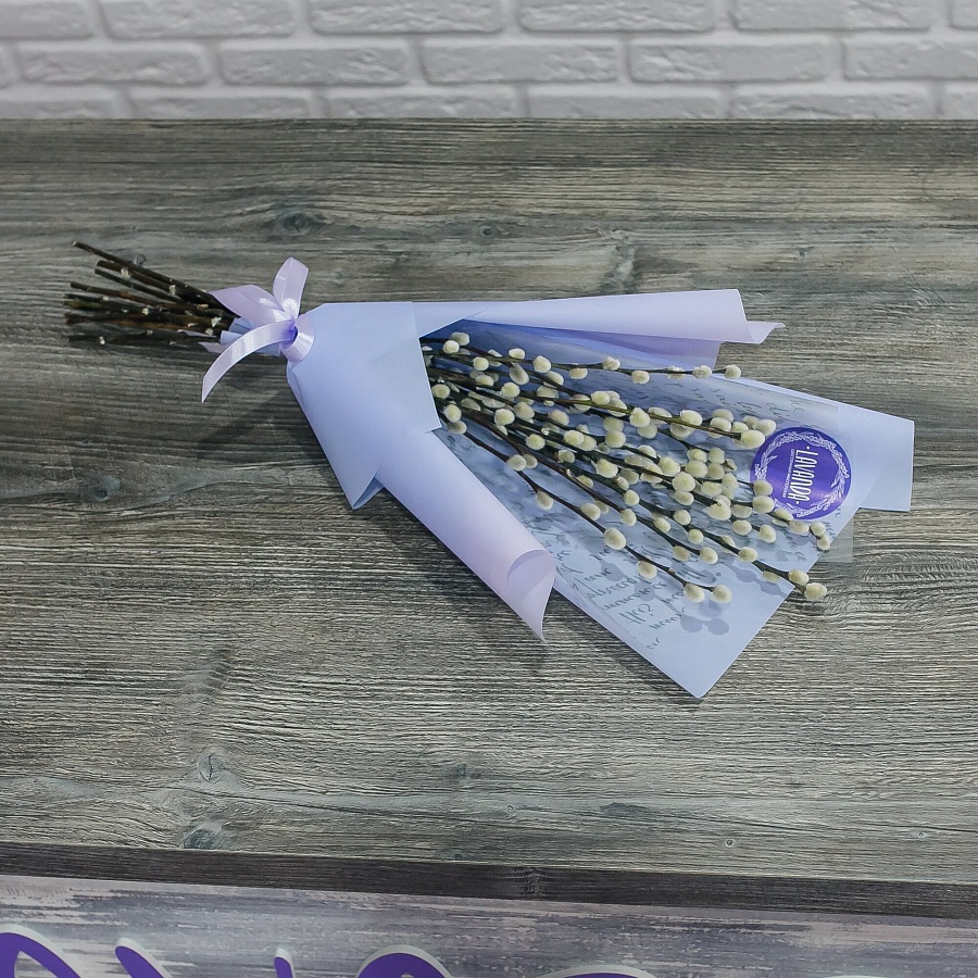 Голландская верба в стильной пленке