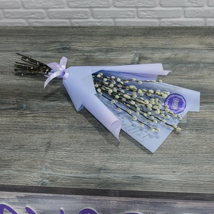 Голландская верба в стильной пленке