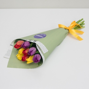 9 разноцветных тюльпанов в матовой пленке