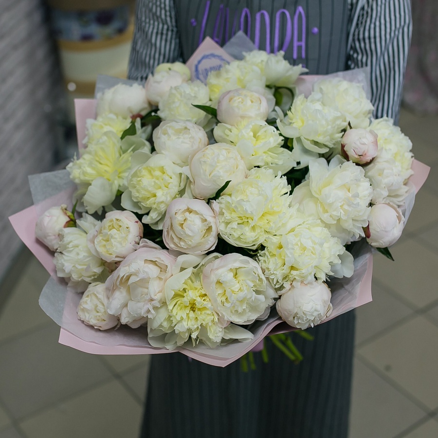 31 пион в стильной пленке