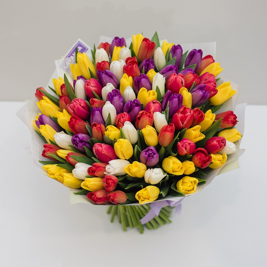 101 Голландский тюльпан в матовой пленке