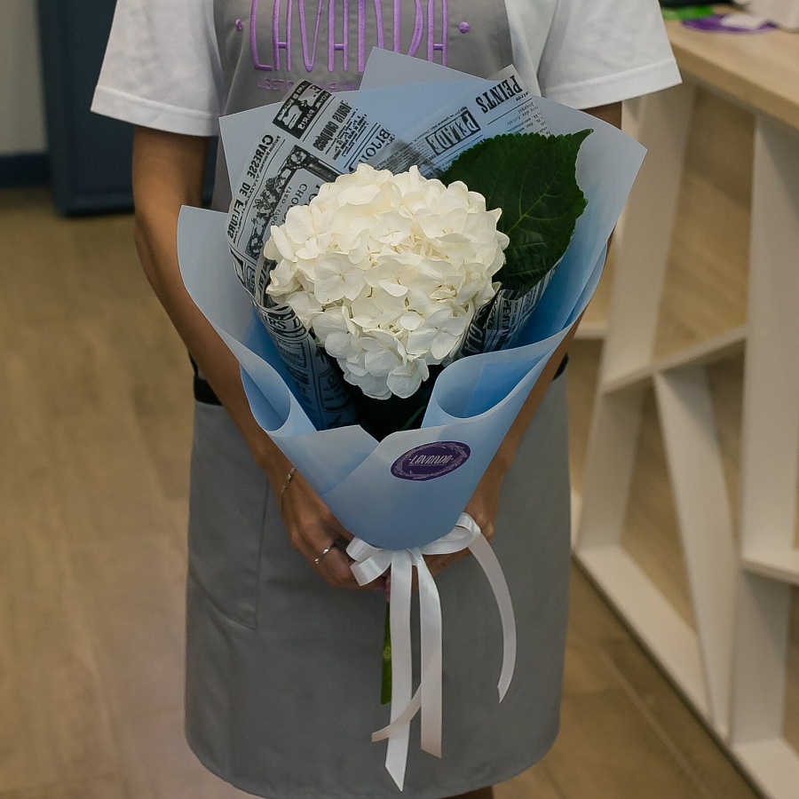 Белая гортензия в стильной пленке