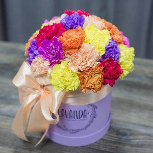 Разноцветные диантусы в коробке