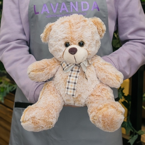 Коричневый плюшевый мишка