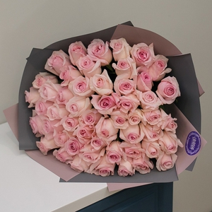 51 нежно-розовая роза в матовой пленке