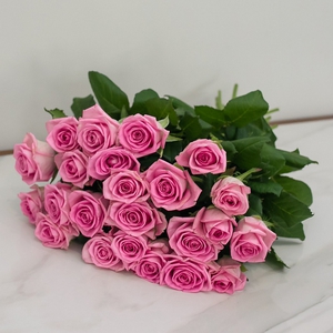 23 розовые розы 50 см.