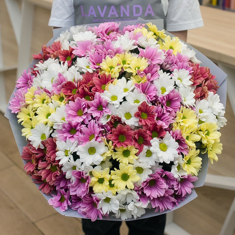 Облако ярких хризантем