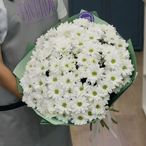 Букет из 15 белых кустовых хризантем