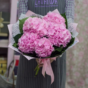 5 розовых гортензий в стильной пленке