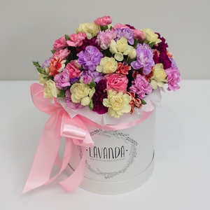 Коробочка кустовых диантусов