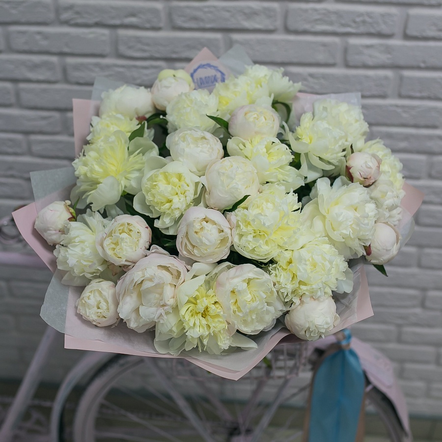 31 пион в стильной пленке