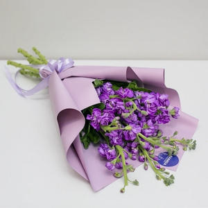 Букет фиолетовых маттиол