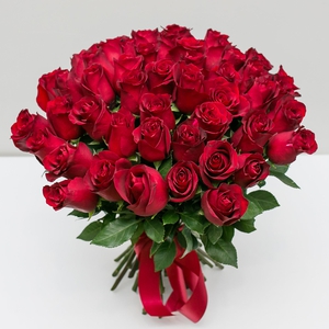 51 красная роза 50 см.