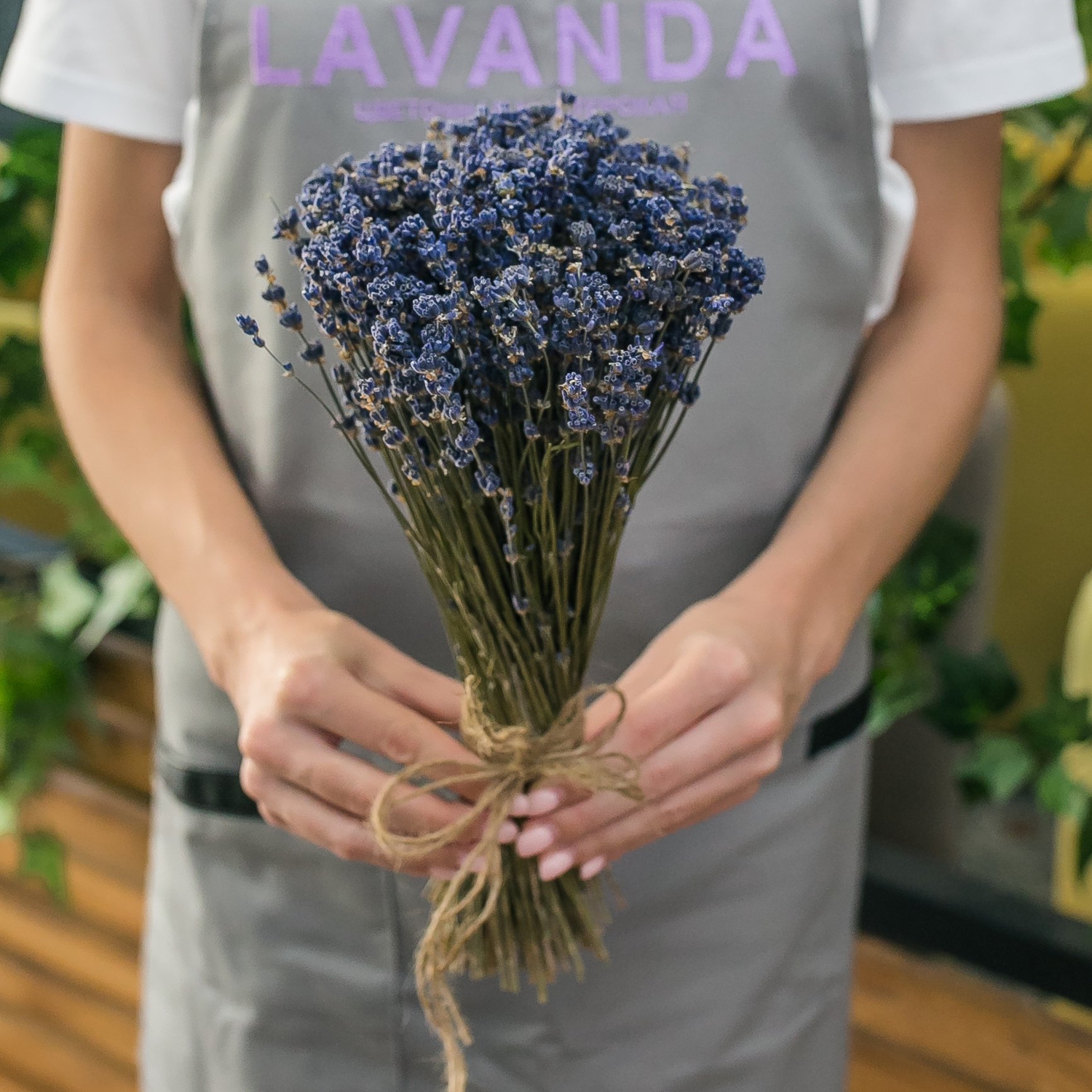 Лаванда сухая