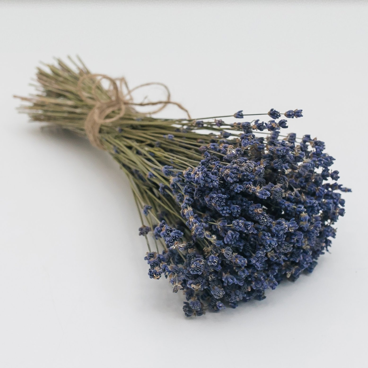 Лаванда сухая